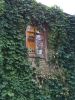 IMG_20200821_192818.thumb.jpg.f6159dae615afe730407ac29443d2b6f.jpg