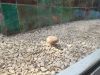 IMG_20200822_142805.thumb.jpg.01f8667b56f1dfabdb69523e136ab0d5.jpg