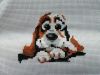 IMG_20200830_144327.jpg