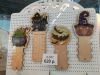 IMG_20200903_105759.jpg