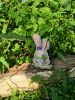 IMG_20200906_150527.thumb.jpg.87f1175753e53f4645847e3c4b5718b5.jpg