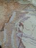 IMG_20200908_123437.thumb.jpg.0953f7f24e9b66961704e945a426c322.jpg