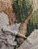 IMG_20200908_124401.thumb.jpg.7016d4fb1bdf9de7cb9986a64a16edef.jpg