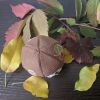 IMG_20200911_235835.thumb.jpg.6db661a83a1dd47adaecfd5314d869ce.jpg