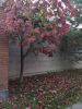 IMG_20200912_181507.thumb.jpg.5f58694c6e4ab9d41495520b00fea64c.jpg