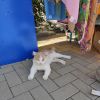 IMG_20200914_131812.thumb.jpg.e4bbaff2b600b1e2fc26aaeea8eab377.jpg