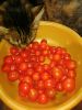 IMG_20200917_140945.thumb.jpg.0b2202a9f1aae2135eeb8da51c85d624.jpg