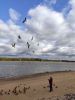 IMG_20200920_133658.thumb.jpg.9f59bef780e8e2afbd55274f106e6544.jpg