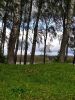IMG_20200920_135324.thumb.jpg.19328eb1069736ded72a50be403ac0a3.jpg