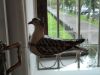 IMG_20200921_141302.thumb.jpg.70cc988fe95cad773fbead4e6b33096d.jpg