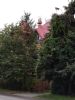 IMG_20200921_174046.thumb.jpg.17e1f8ea9717f0c6b0c0e922413dd428.jpg