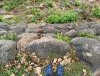 IMG_20200922_153831.thumb.jpg.b3f1792250a48062dbf9dae7919f86f3.jpg?1601377623790