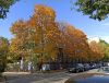 IMG_20200923_132514.thumb.jpg.d0d9c0579e2213bcac53e7aaa82932a7.jpg