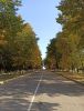 IMG_20200924_102749.thumb.jpg.0269ff466414b5e6dc6a7c495e9dfe53.jpg