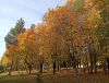 IMG_20200924_152343.thumb.jpg.3bbc2d06b1128d4f0e94a3b3d1b2ba71.jpg