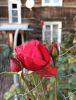IMG_20200924_165206.thumb.jpg.76a4266d92c1e3514988dae94e009f86.jpg