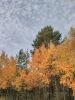IMG_20200926_103800.thumb.jpg.5462f96cfec7a2c2cf93306d5a0cf384.jpg