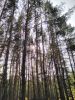 IMG_20200926_140340.thumb.jpg.3084f015fcf8ace61b543d58af0ebe0f.jpg