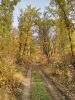 IMG_20200926_144750.thumb.jpg.450464753d9954fc182019a86356d123.jpg