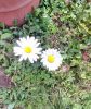 IMG_20200927_130745.thumb.jpg.f74ff79d7e33421c449492920d12b5f6.jpg
