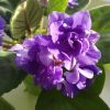 IMG_20200928_162518.jpg