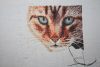 IMG_2083.thumb.JPG.53505a8ffdaf6bf853c2ede7d505c43f.JPG