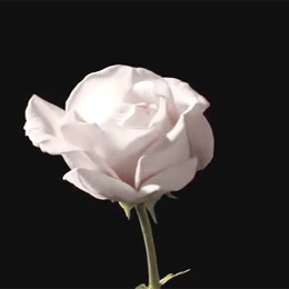 LM2M.thumb.gif.96cb2e523c9103ff3f290b64f174d55c.gif