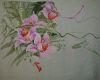Orchids3.JPG.d1c96ba2681b416f69f39bf47dcd8a18.JPG.thumb.jpg.a1c81c4c7879e6005fd05e7f2d8ceb85.jpg