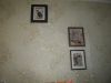 P1070011.thumb.JPG.dfc2c3c7d7d2a50307165ae0df4db5ff.JPG