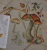 ShroomsBrown5.JPG.5a54496615606d4c146389e07ea885eb.JPG.thumb.jpg.91a28f46345c74bd4c6cca3f2e98122e.jpg