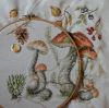 ShroomsBrown6.JPG.e8fe6bfca66b632a38b4e567b2cc8432.JPG.thumb.jpg.09c5bdad98d8df9f627ec7fd47112222.jpg