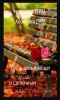 ace5a769d6568dff2e65899fb12ec98c.thumb.jpg.f3b7a9d8203ce5db7e2797b59482c6fb.jpg