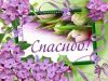 resize.thumb.jpg.48b197a6dbdd952d78dc87fdd3188c4a.jpg