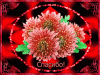spasibo33-1024x768.thumb.gif.a282097c7ee805b3ed5fe26273737b5a.gif