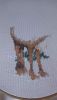 1.thumb.jpg.da4633cc6c729a9de927c2cb8c9a639c.jpg