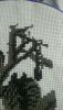 10.thumb.jpg.2a4a7e39f49e9e45db8fd14c5c016ab7.jpg