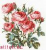 11527.thumb.jpg.41955ec79c1290c6bdb20fbcfdd0a9d6.jpg