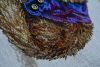 128961703_NimueLeChalligraphe78.thumb.JPG.f7b92c7707d0d1c33894cccb3125b6a4.JPG