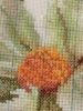 2.thumb.jpg.159afcaaa07dd795a6bff577fa0b6b51.jpg