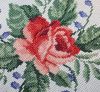 2.thumb.jpg.8b32e6aa656a5e39d65b2588b3735d78.jpg