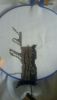 2.thumb.jpg.b086667060bd5680063467f320f0b132.jpg