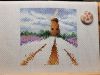 20200922_155434.thumb.jpg.253d865caa4080cb90649e142b502108.jpg
