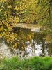 20200926_145458.thumb.jpg.a63e3ce1ad863f19a7b8f1d951254076.jpg