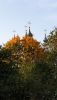 20200926_153429.thumb.jpg.69ab963202625134de59ccf8fde005d5.jpg