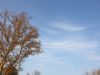 20200926_164055.thumb.jpg.739d1c561fb34247ab7066de38d1c16c.jpg