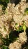 20200927_151916.thumb.jpg.6bd3eed144b560a6a3f65f641176252d.jpg