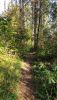 20200927_151925.thumb.jpg.d8715879b8202820c44ea16e400397a1.jpg