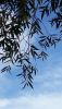 20201001_144809.thumb.jpg.a8477bcd7a5cf85a2974b763c8ecccb9.jpg
