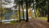20201003_145713.thumb.jpg.9cb89b71e574ce571b05607d9b06c09f.jpg