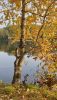 20201003_145834.thumb.jpg.a98bb68de27a691d5b688db75d6e36f8.jpg